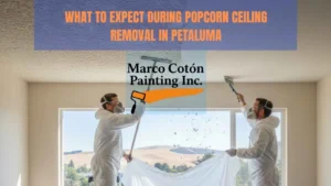 What to Expect During Popcorn Ceiling Removal in Petaluma