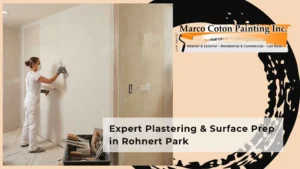 Expert Plastering & Surface Prep in Rohnert Park