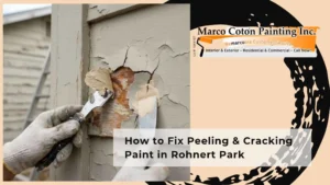 How to Fix Peeling & Cracking Paint in Rohnert Park