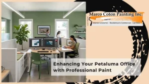 Enhancing Your Petaluma Office with Professional Paint