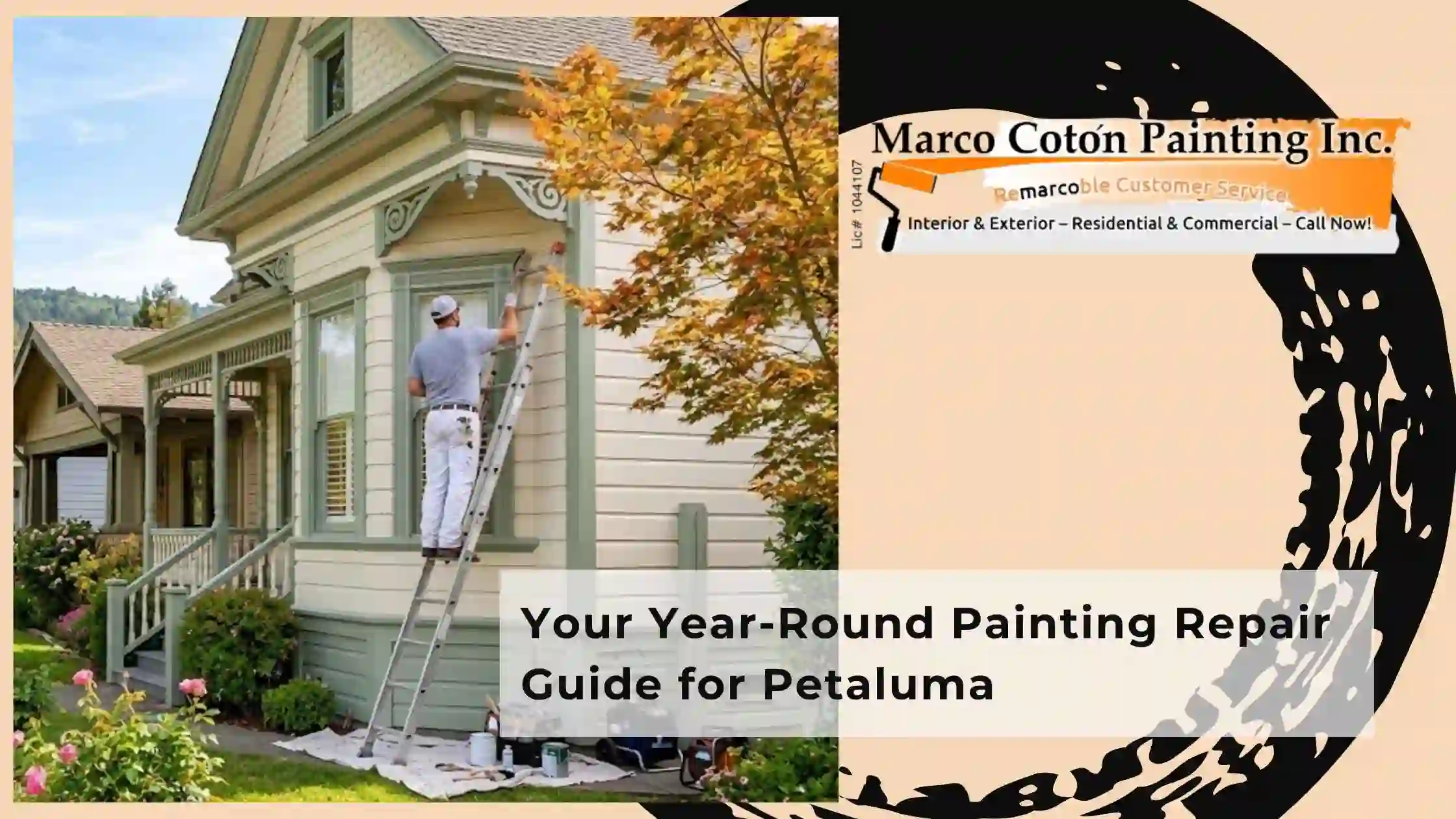 Your Year Round Painting Repair Guide for Petaluma